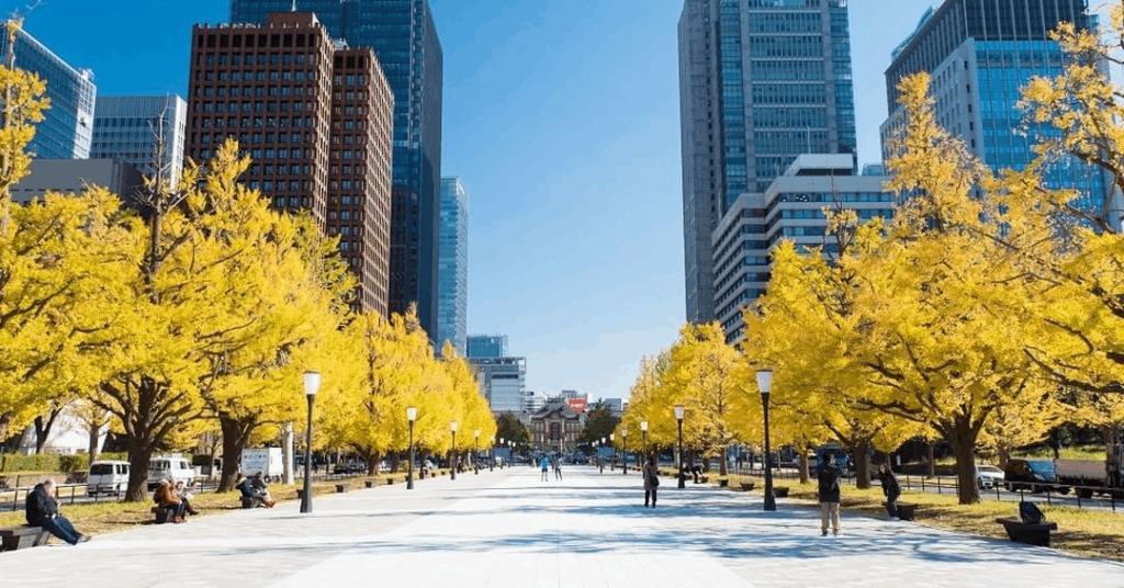 東京　フォトウエディング　フォトスポット