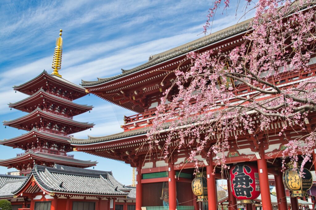 東京　フォトウエディング　フォトスポット